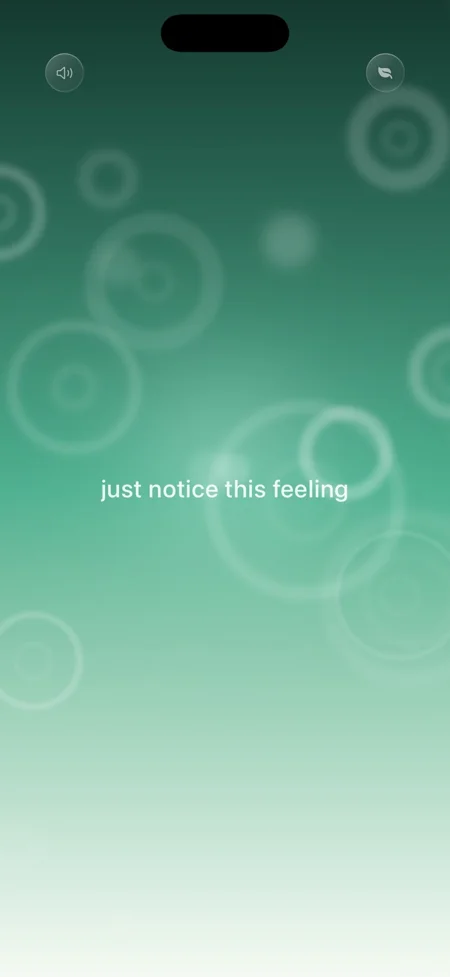 Mindfulness awareness screen encouraging users to notice their feelings.